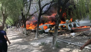 呼市青城公园突发大火 未造成人员伤亡