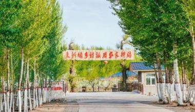 麦新：探索新时代红色旅游产业发展的新路径