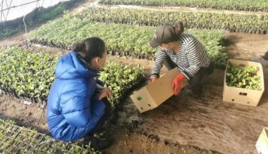疫情防控要做好 生产生活也不误