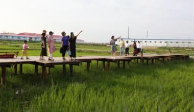 兴安盟科右中旗敲开生态致富门