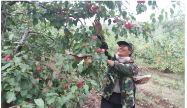 科右前旗：特色产业助力乡村振兴