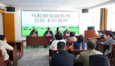 非遗“传统兽医术疗法”在乌拉特前旗开班