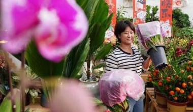 内蒙古呼和浩特：选购鲜花迎新年