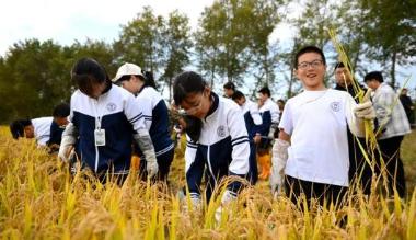 稻田践劳作 研学悟初心——京蒙学子扎赉特旗沉浸式体验农耕文化