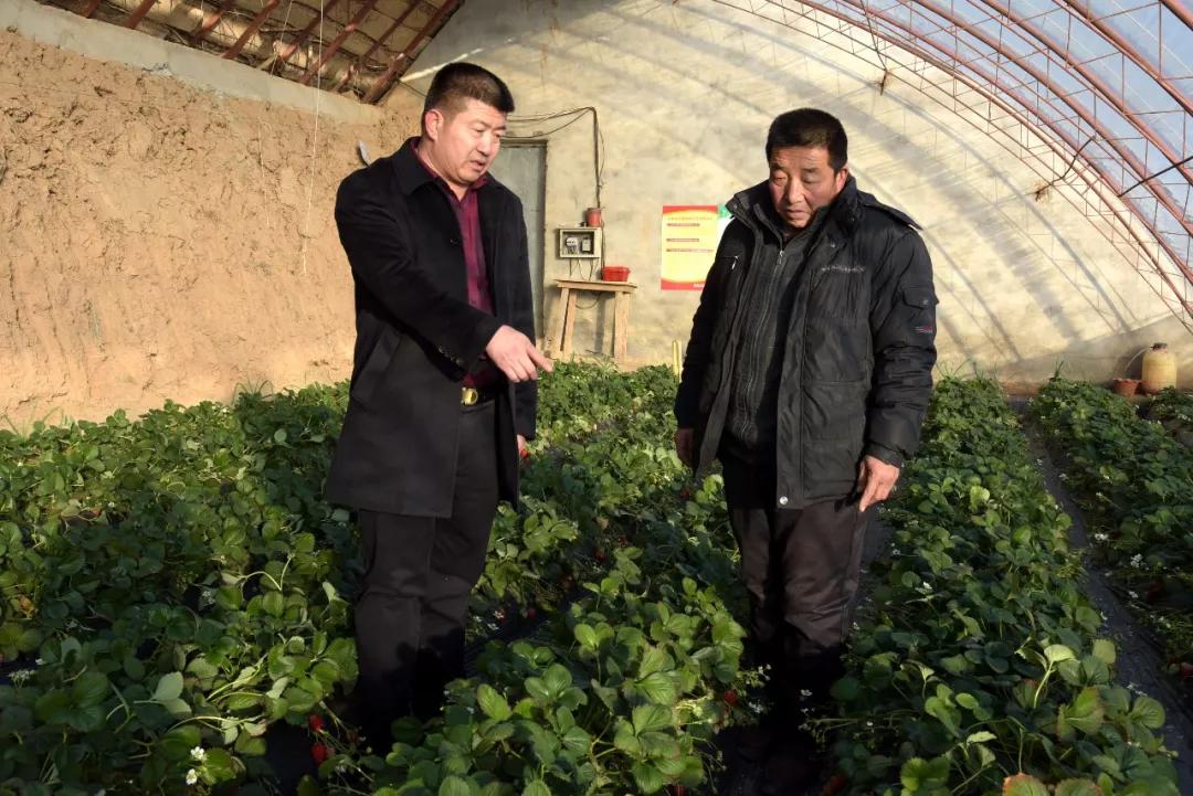 微信图片_20190304093923.jpg