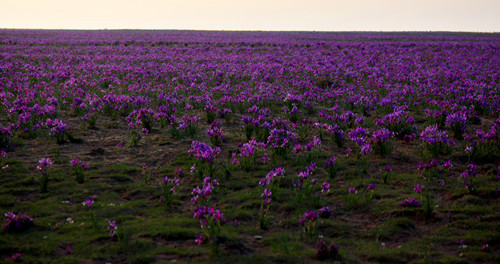 20120507112214.jpg