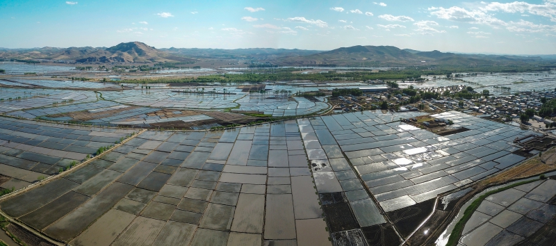 DJI_0011 Panorama(1).jpg