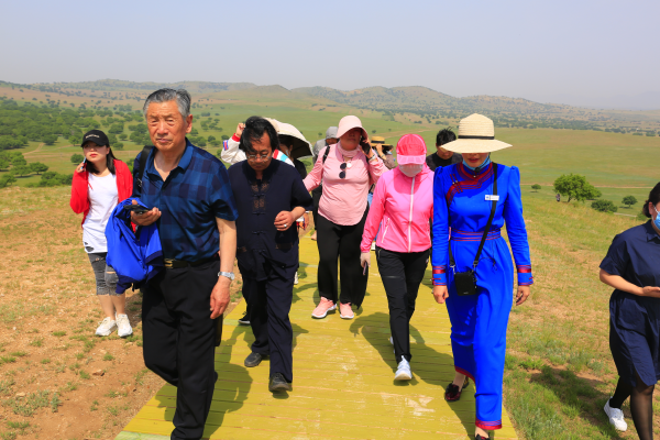 WPS图片-修改尺寸(4).png