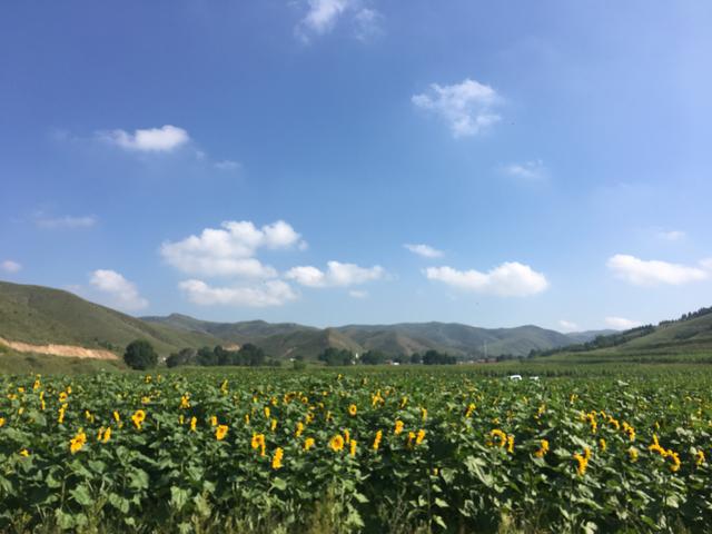 微信图片_20200818102036.jpg