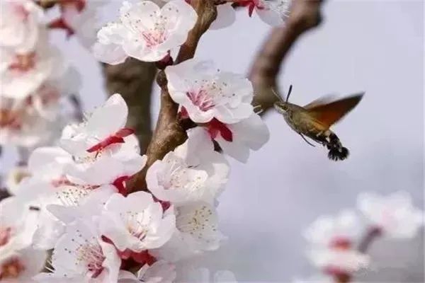 微信图片_20220417171901.jpg