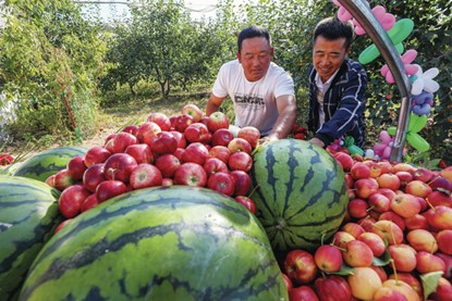 图片5.png