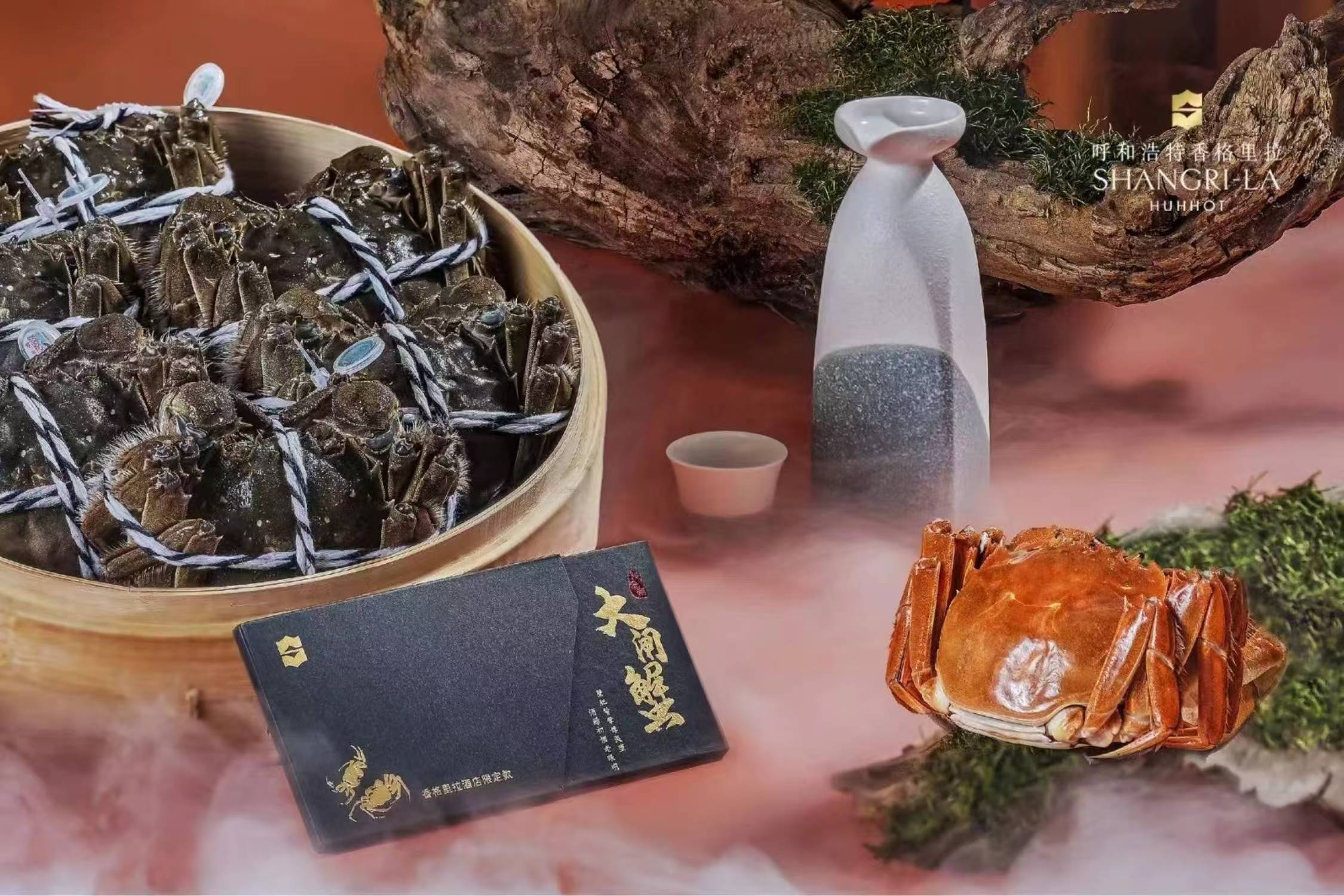 微信图片_20241017161856.jpg
