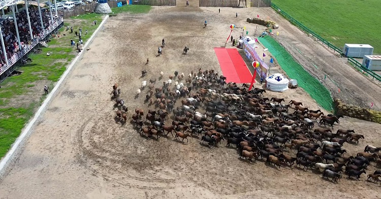 微信图片_20260622084615_223_2.jpg