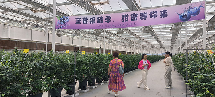 微信图片_20260701231635.jpg