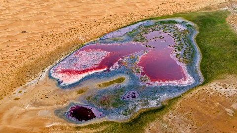 dji_fly_20260816_165840_0064_1786873002862_photo_edit_121817893705370-opq4939501364.jpg